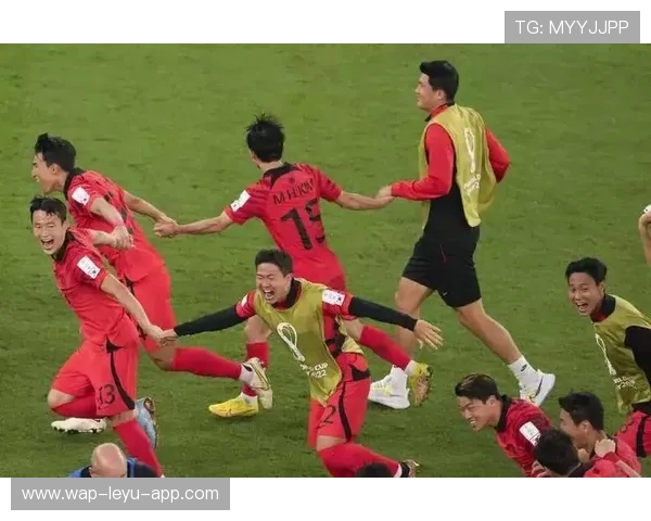 世界杯32强有哪些新面孔：首次参赛球队表现汇总